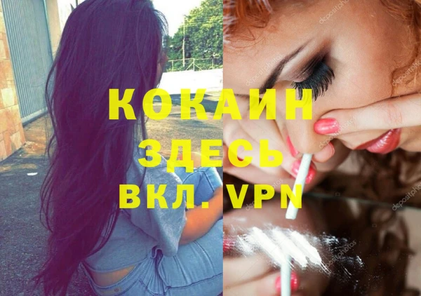 дурь Вяземский