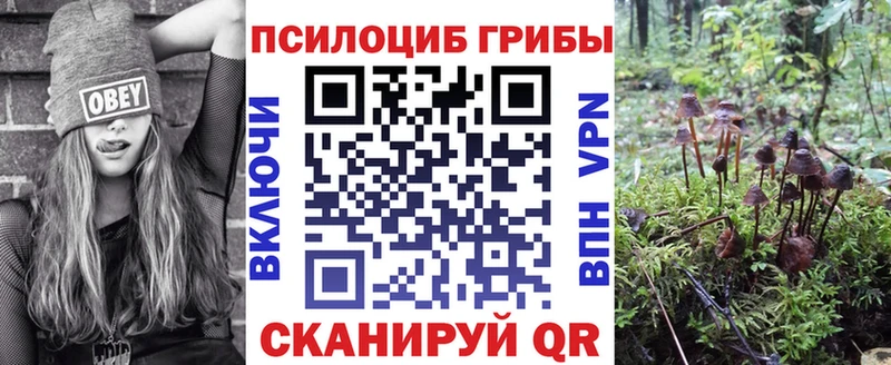 Псилоцибиновые грибы мухоморы Купить закладки Джанкой