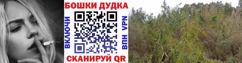 Бошки марихуана гибрид Купить где Джанкой
